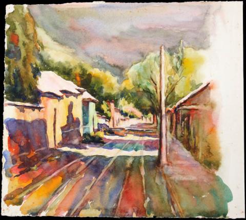 Primera imagen del registro Calle Freire, Vicuña