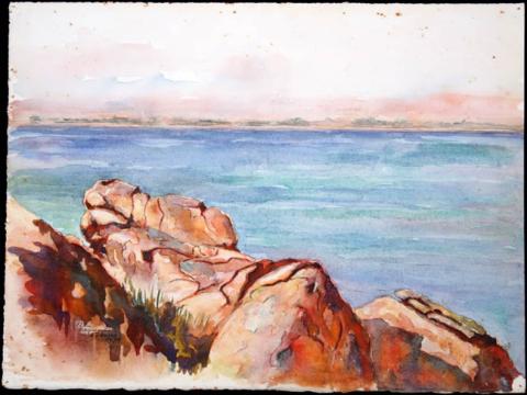 Primera imagen del registro Paisaje marino