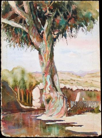 Primera imagen del registro Árbol