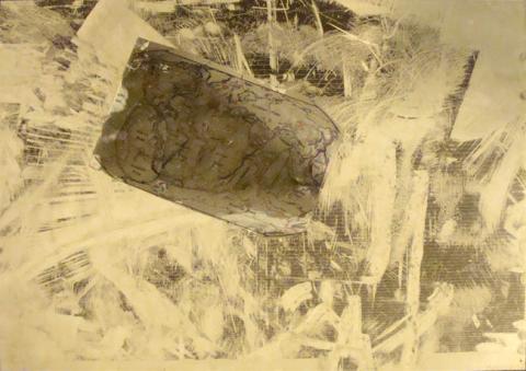 Primera imagen del registro Placa de Nazca