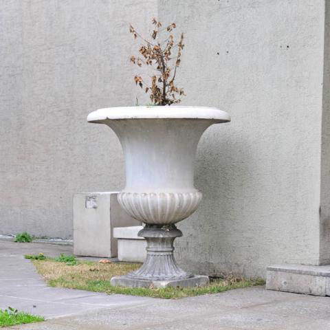 Primera imagen del registro Jarrón de jardín