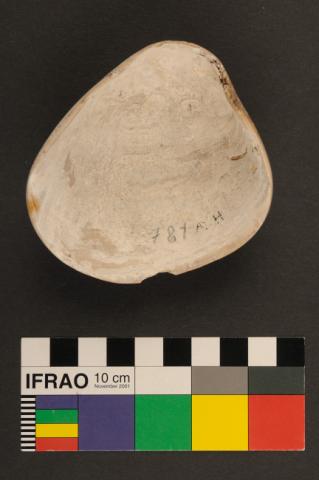 Primera imagen del registro Recipiente