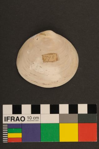 Primera imagen del registro Recipiente
