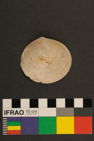 Primera imagen del registro Recipiente