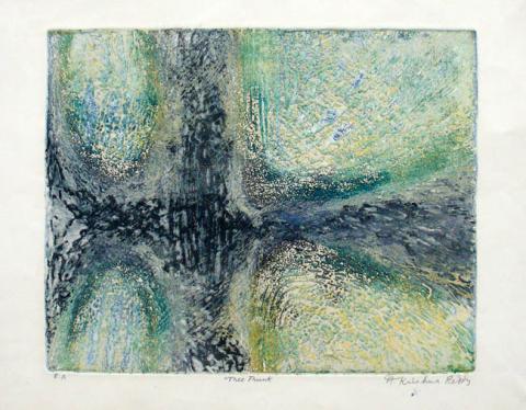 Primera imagen del registro Tree Trunk