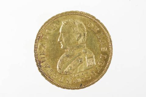 Primera imagen del registro 2 escudos de la República Argentina