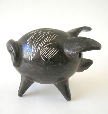Primera imagen del registro Chancho
