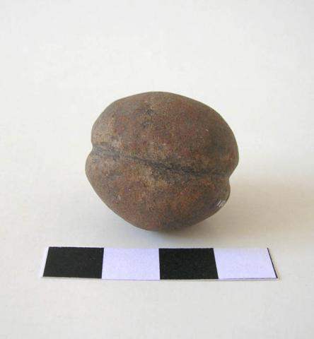 Primera imagen del registro Pesa de red