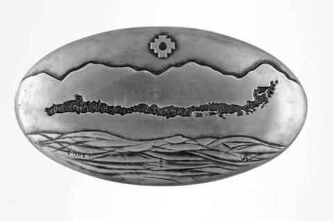 Primera imagen del registro Medalla Bicentenario de Chile