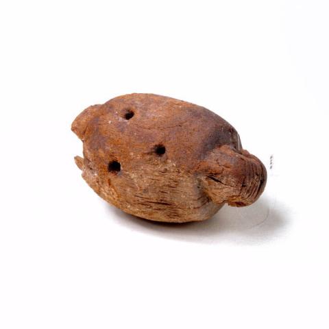 Primera imagen del registro Ocarina
