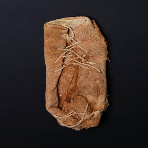 Primera imagen del registro Zapato (calzado)