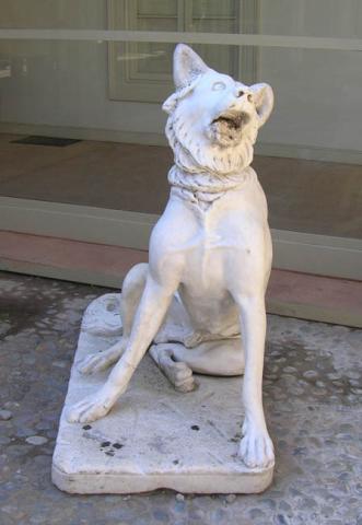 Primera imagen del registro Perro Moloso