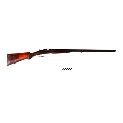 Primera imagen del registro Rifle
