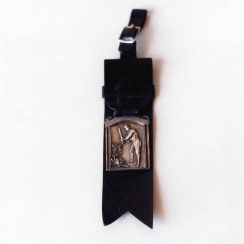 Primera imagen del registro Medalla