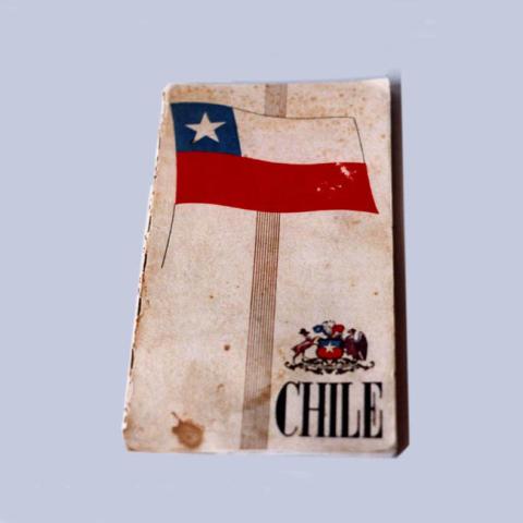 Primera imagen del registro Chile