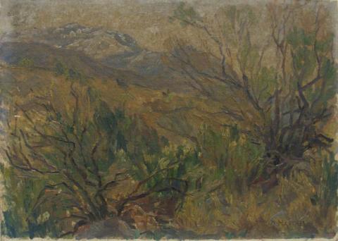 Primera imagen del registro Paisaje de Peñalolén