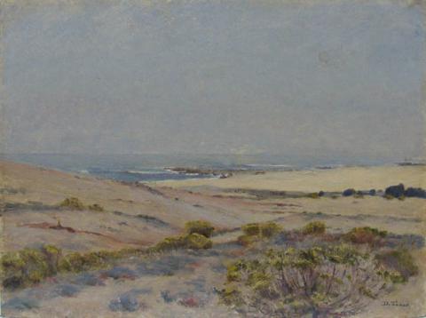 Primera imagen del registro Dunas de la costa del Tabo