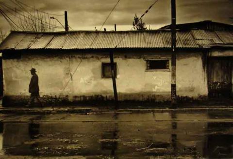 Primera imagen del registro Presencia invernal