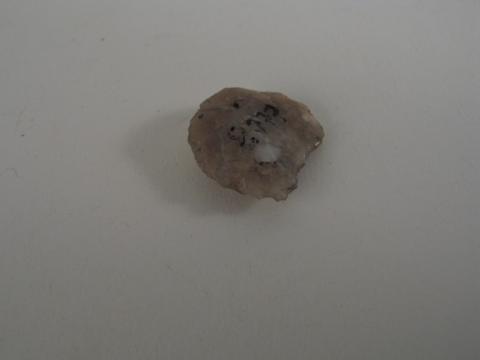 Primera imagen del registro Raspador