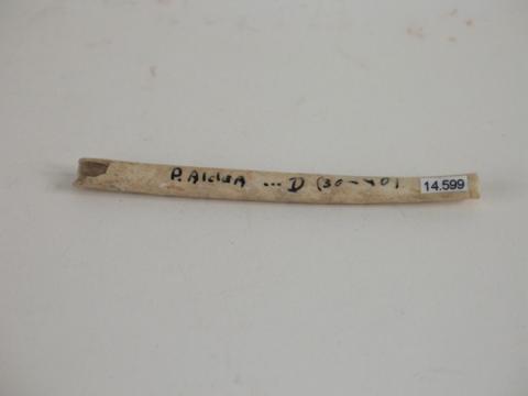 Primera imagen del registro Tubo inhalador