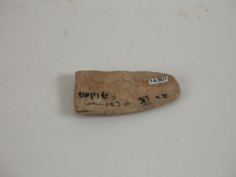Primera imagen del registro Espátula