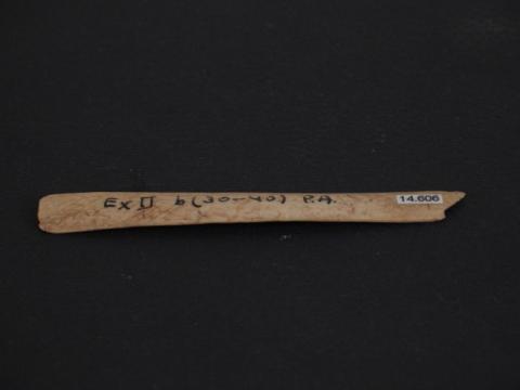 Primera imagen del registro Espátula