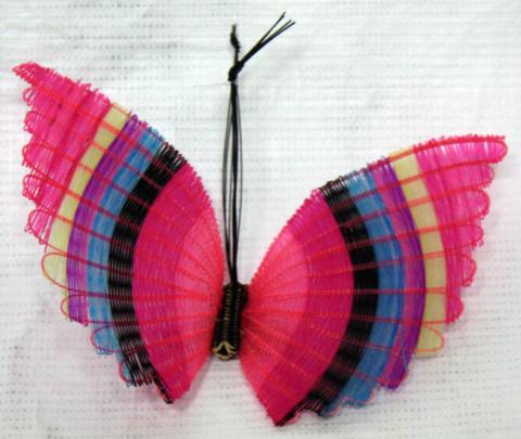 Primera imagen del registro Mariposa
