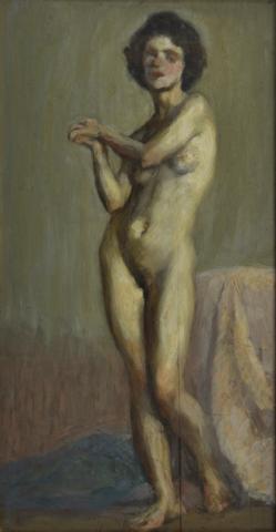 Primera imagen del registro Desnudo con cortina azul