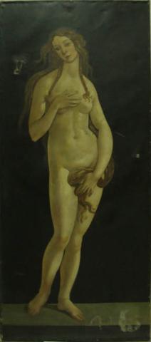 Primera imagen del registro Venus (copia de Botticelli)