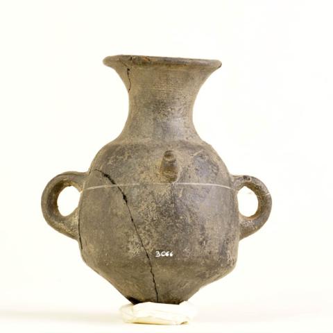 Primera imagen del registro Botella (arqueológica y etnográfica)