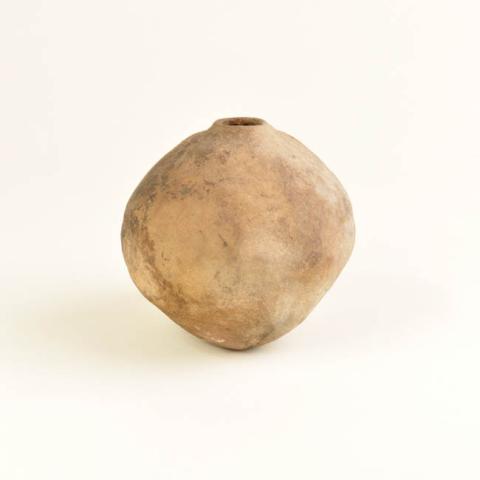 Primera imagen del registro Coquito