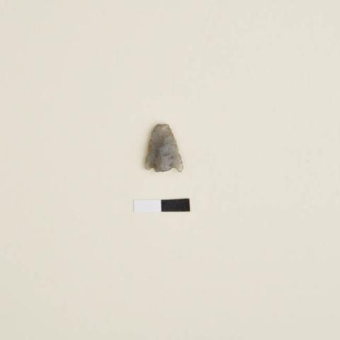 Primera imagen del registro Micropunta de proyectil