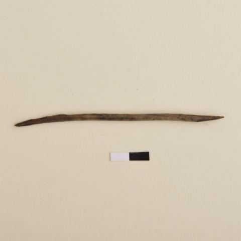 Primera imagen del registro Aguja (arqueológico y etnográfico)