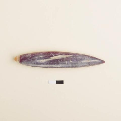 Primera imagen del registro Pesa de pesca