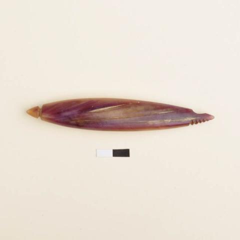 Primera imagen del registro Cuerpo de anzuelo