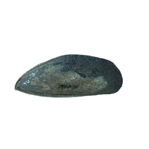 Primera imagen del registro Artefacto
