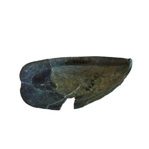 Primera imagen del registro Artefacto