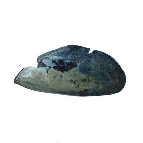Primera imagen del registro Artefacto