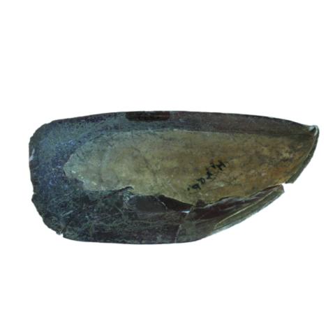 Primera imagen del registro Artefacto