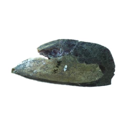 Primera imagen del registro Artefacto