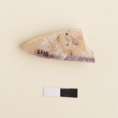 Primera imagen del registro Pesa de pesca