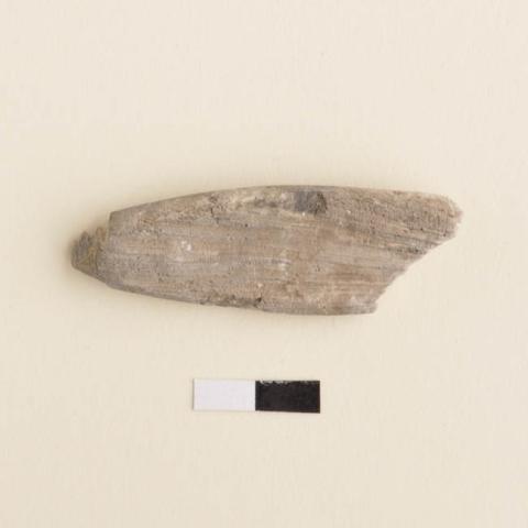 Primera imagen del registro Pesa de pesca
