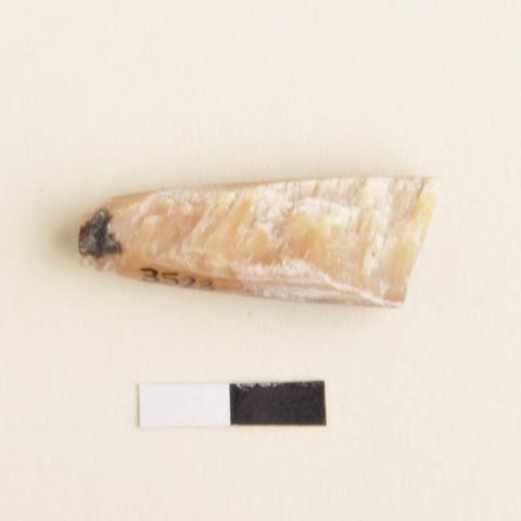 Primera imagen del registro Artefacto