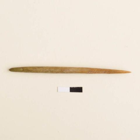 Primera imagen del registro Barba de anzuelo