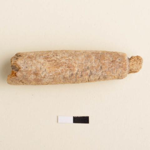 Primera imagen del registro Artefacto