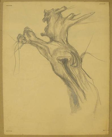 Primera imagen del registro nº1 Estudio de árbol