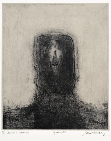 Primera imagen del registro Mutante Rapa Nui