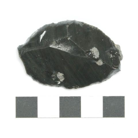 Primera imagen del registro Raspador