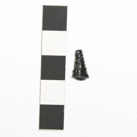 Primera imagen del registro Punta de proyectil