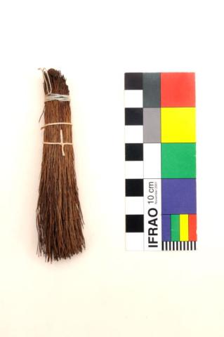 Primera imagen del registro Brocha (arqueológico)